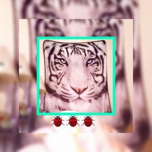 Meet your Posher, Helena